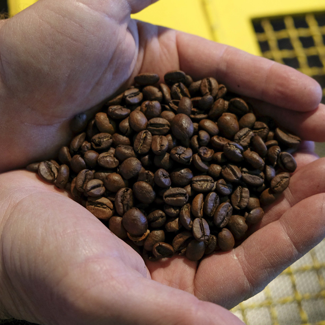 Immagine di chicchi di caffè: differenza tra caffè artigianale e industriale